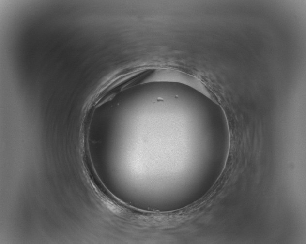 X0000072520005200607211435