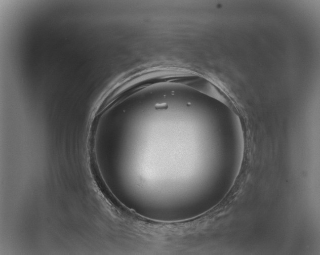 X0000072520007200607211435