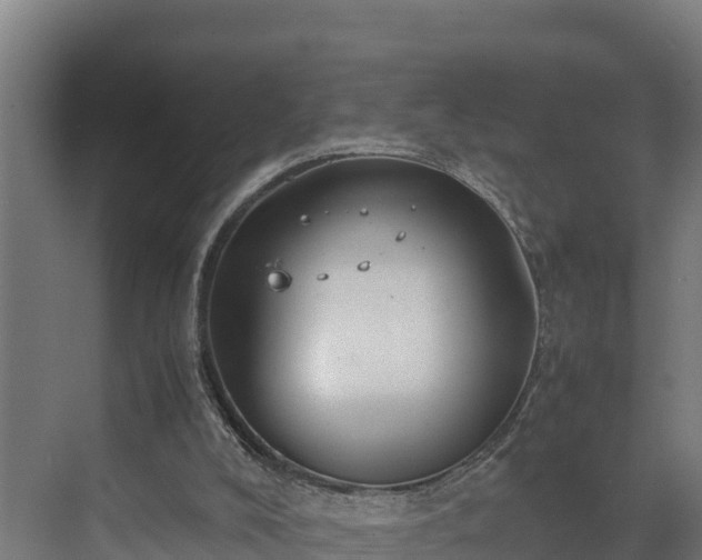 X0000072520008200607211435