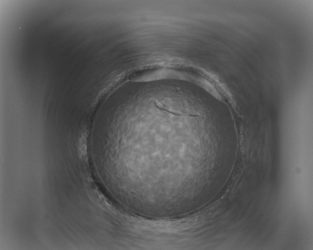 X0000072520010200607211435