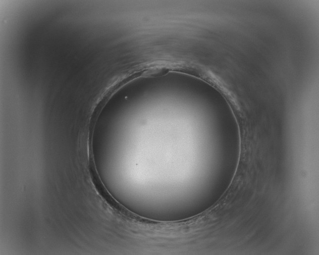 X0000072520011200607211435