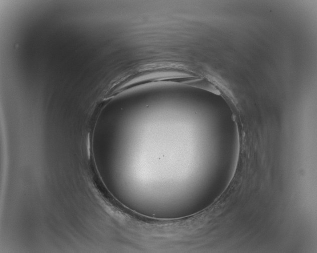 X0000072520013200607211435