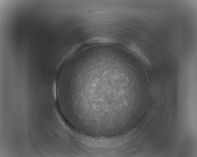 X0000072520014200607211435