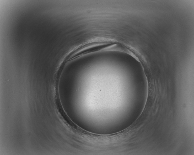 X0000072520015200607211435