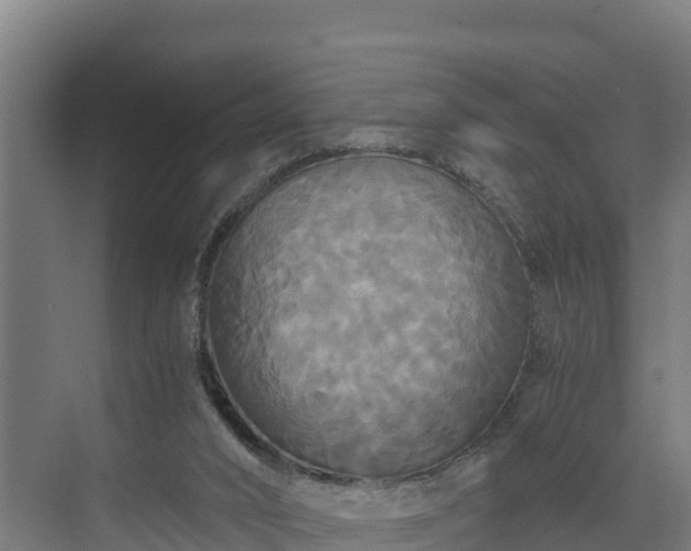 X0000072520016200607211435