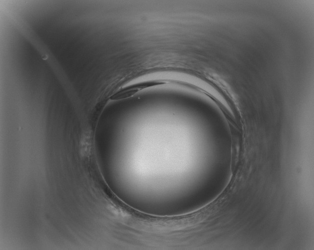 X0000072520017200607211435