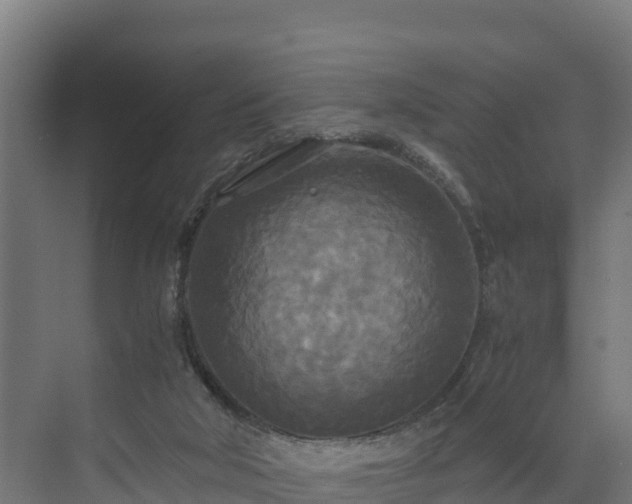 X0000072520018200607211435