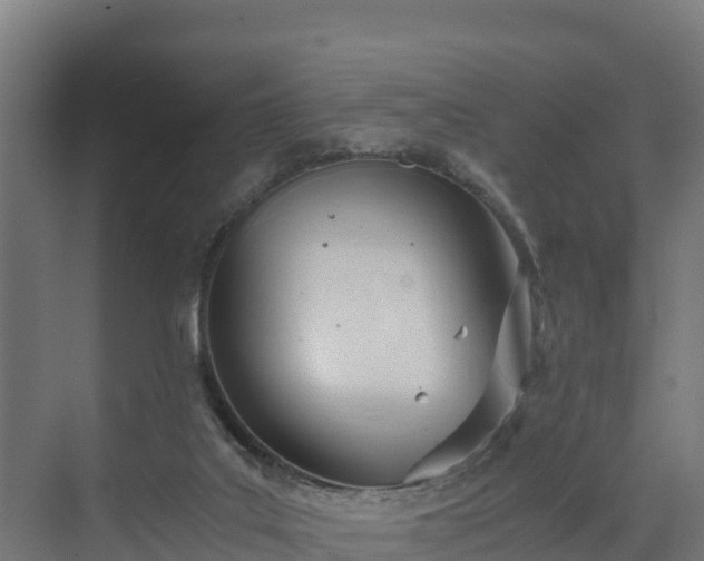 X0000072520019200607211435