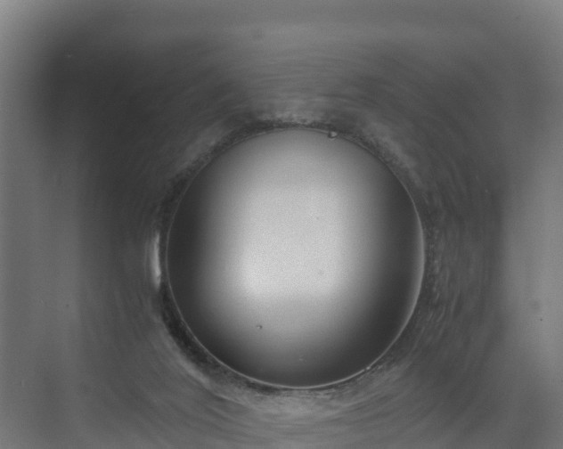 X0000072520020200607211435