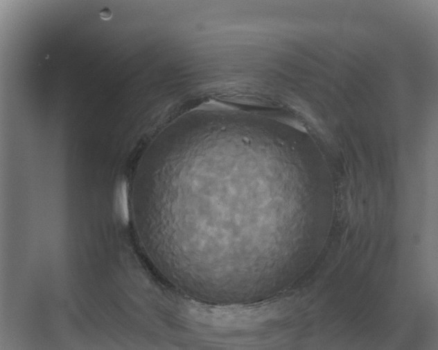 X0000072520022200607211435