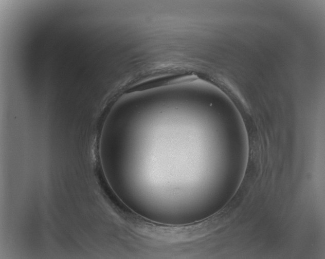 X0000072520023200607211435