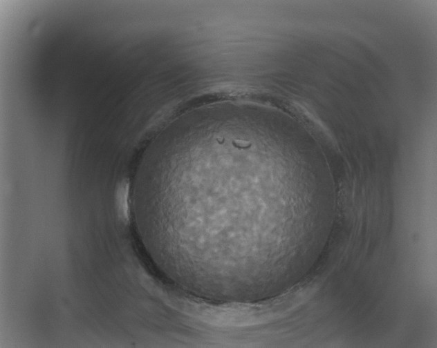 X0000072520024200607211435