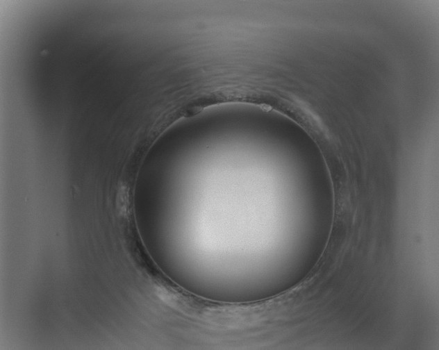 X0000072520025200607211435