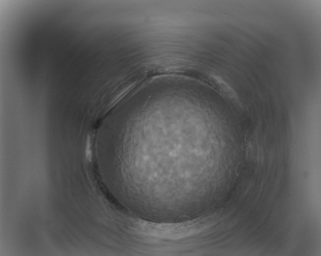 X0000072520026200607211435