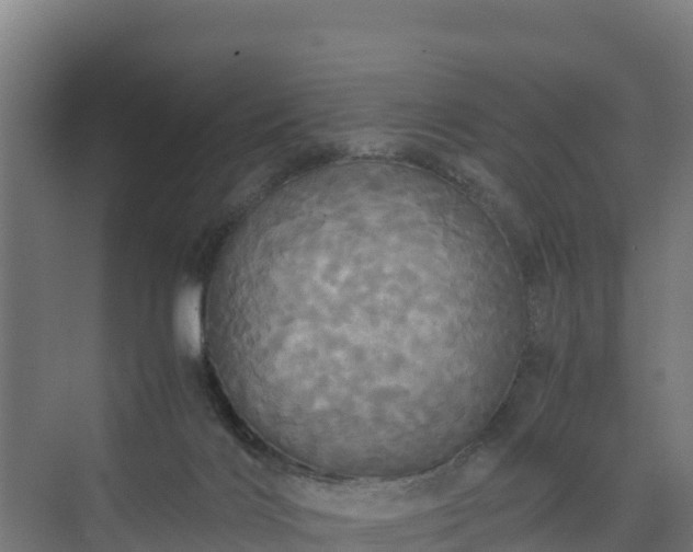 X0000072520028200607211435