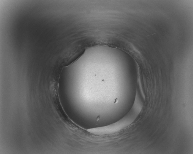 X0000072520029200607211435