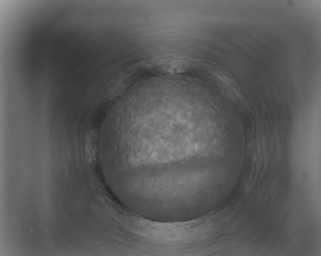 X0000072520030200607211435