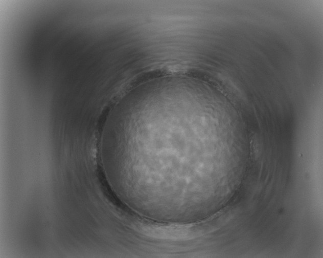 X0000072520032200607211435