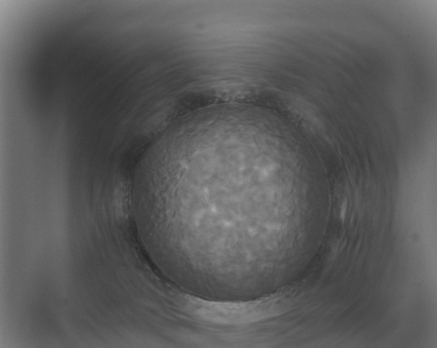 X0000072520034200607211435