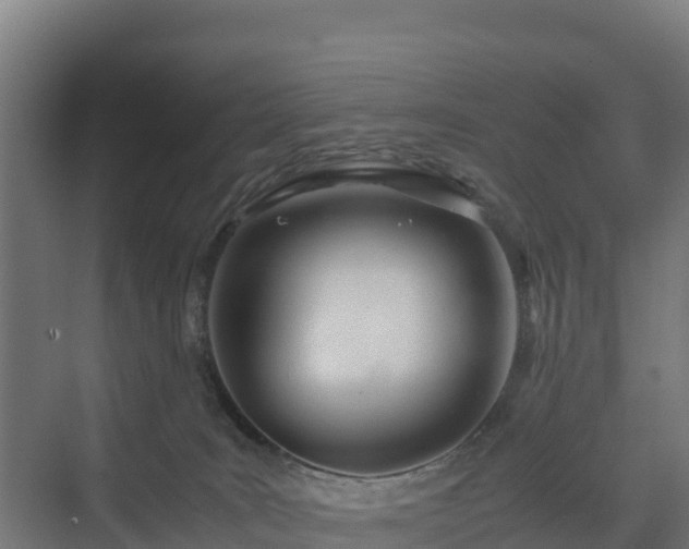 X0000072520035200607211435