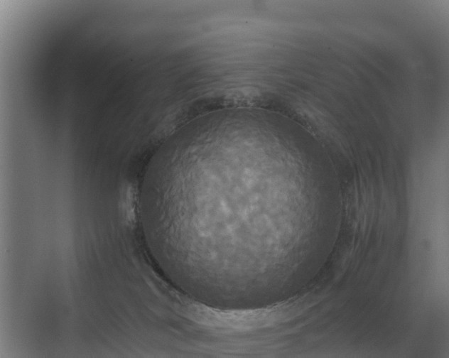 X0000072520038200607211435