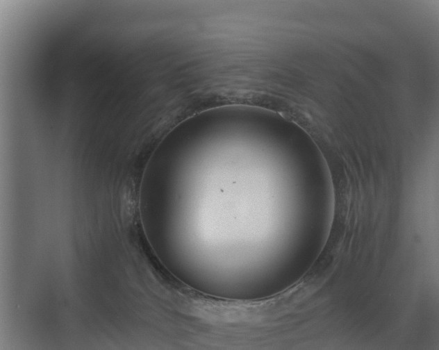 X0000072520040200607211435