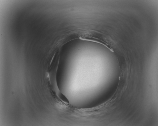 X0000072520041200607211435