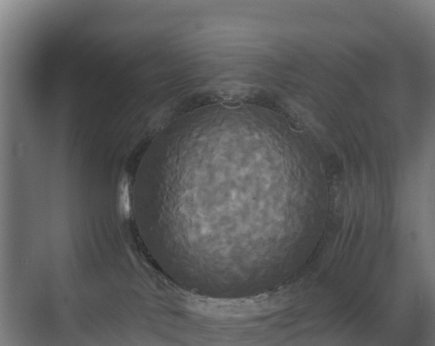 X0000072520042200607211435