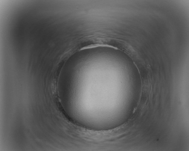 X0000072520043200607211435