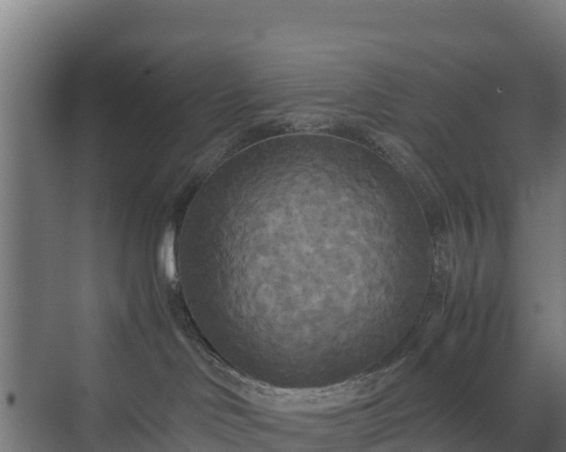 X0000072520046200607211435