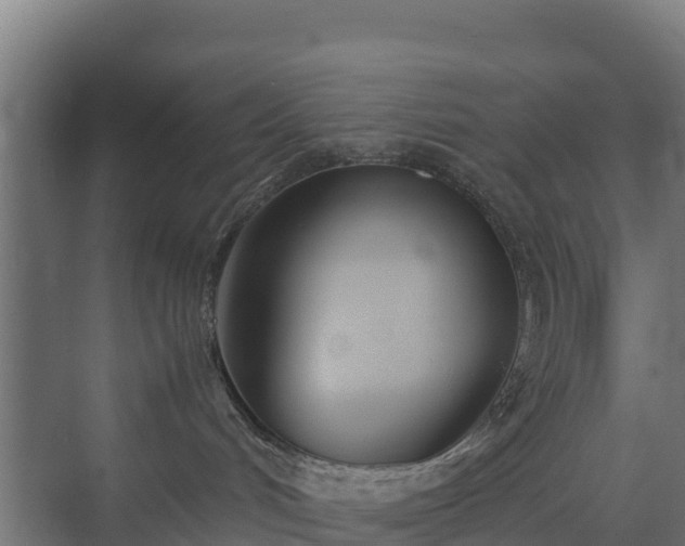 X0000072520048200607211435