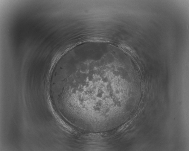 X0000072520049200607211434