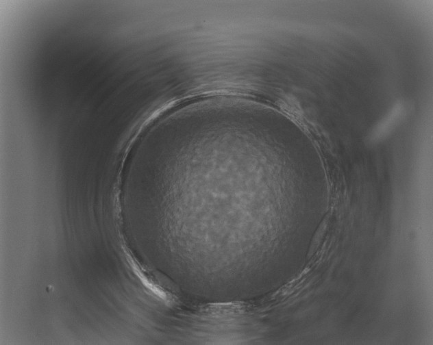 X0000072520050200607211434