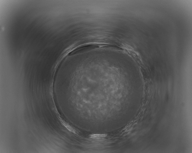 X0000072520051200607211434