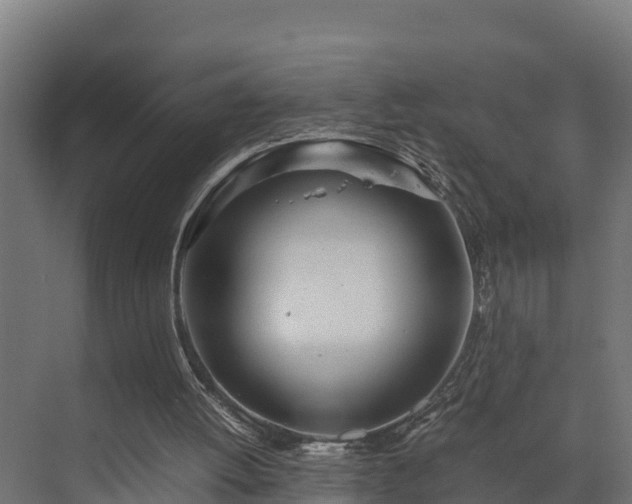 X0000072520052200607211434