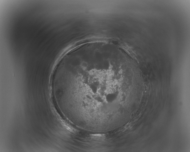 X0000072520053200607211434