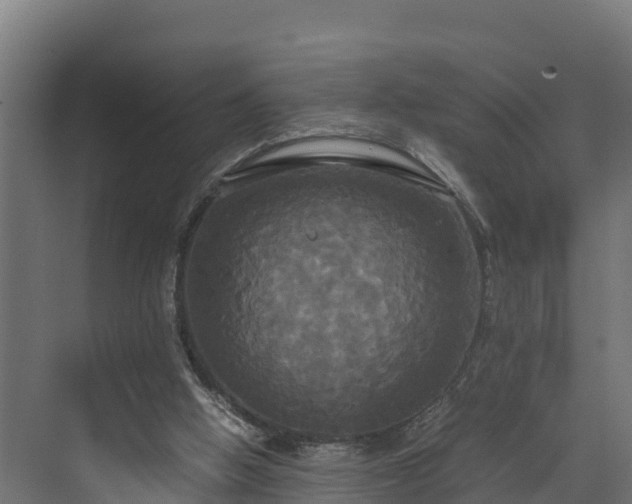 X0000072520058200607211434