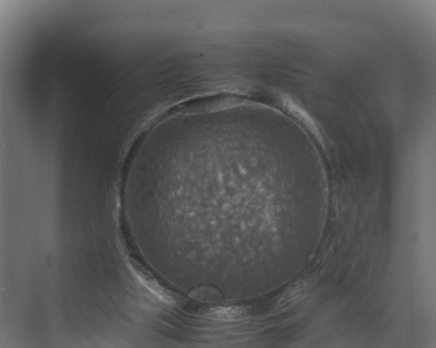 X0000072520059200607211434