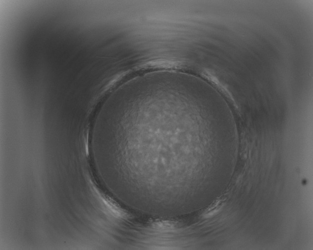 X0000072520062200607211434