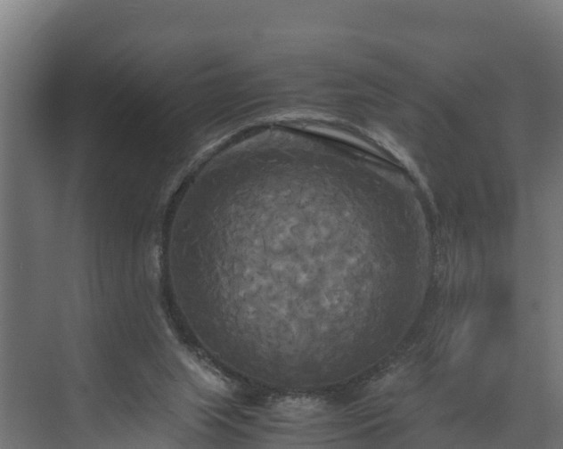 X0000072520063200607211434