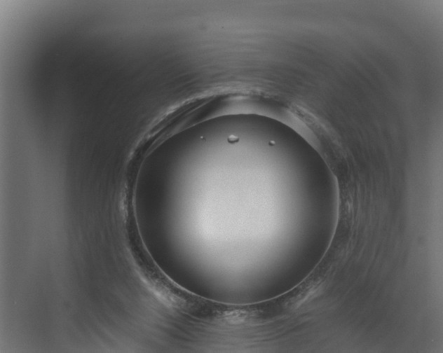 X0000072520064200607211434