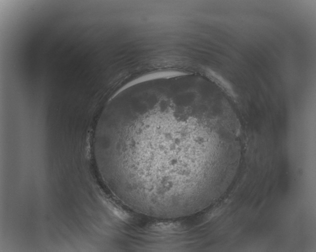 X0000072520065200607211434