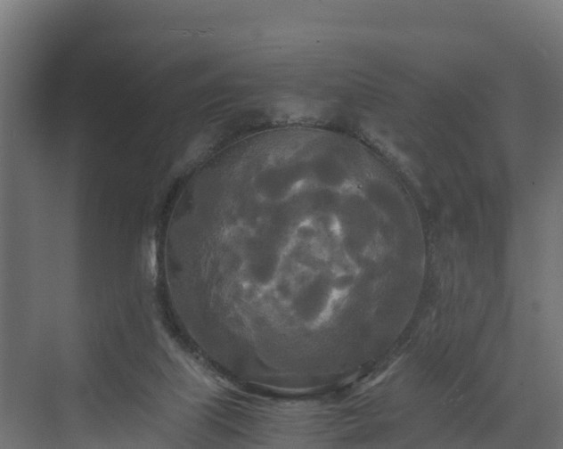 X0000072520067200607211434