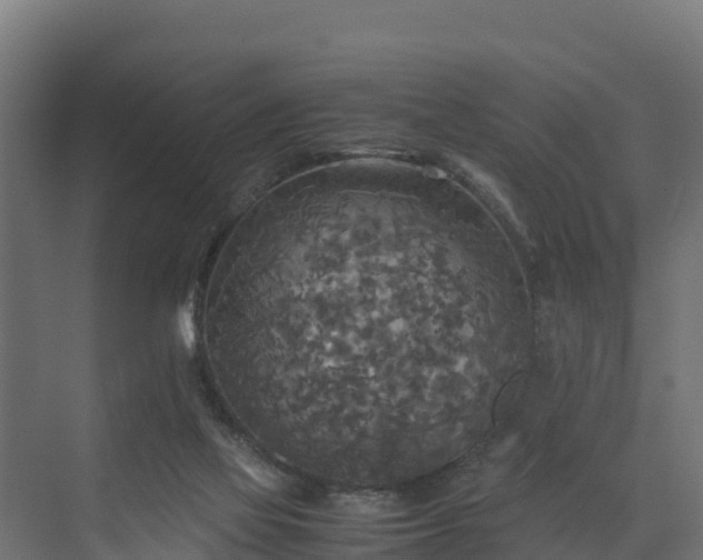 X0000072520069200607211434