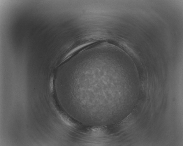 X0000072520070200607211434