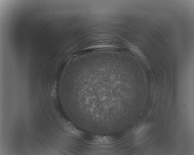 X0000072520073200607211434