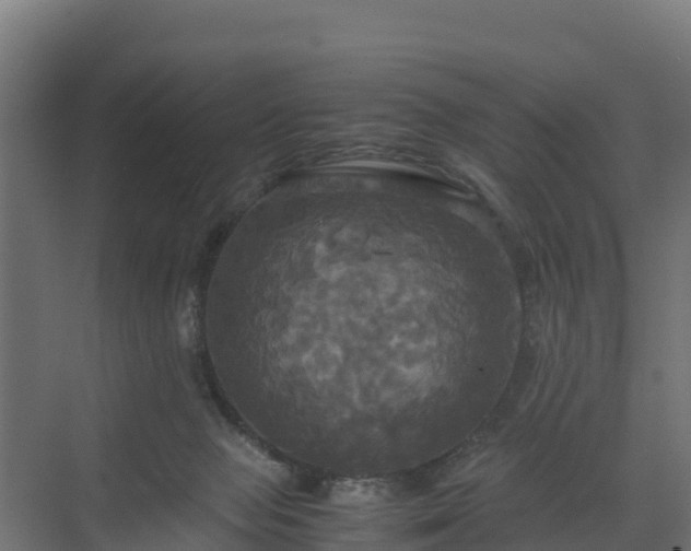 X0000072520077200607211434