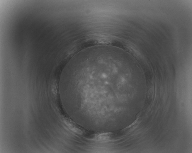 X0000072520078200607211434