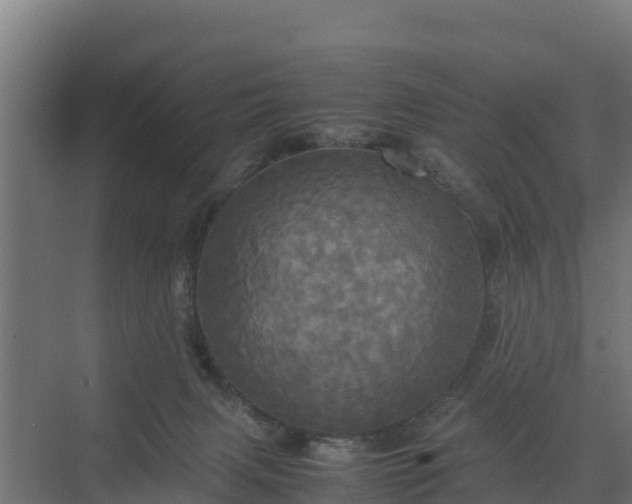 X0000072520079200607211434