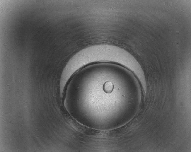 X0000072520080200607211434